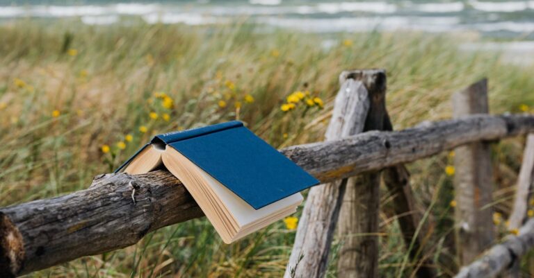 10 Best Beach Cabas for Sheltered Reading Spots Perfect for Summer Relaxation