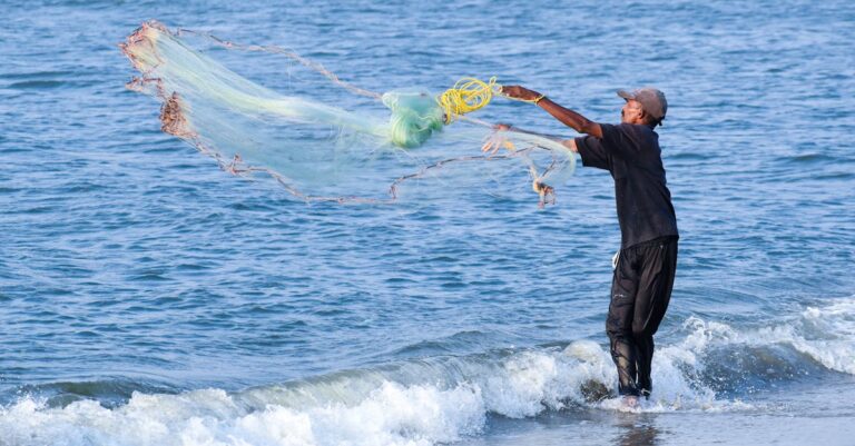 10 Best Beach Fishing Gear for Catching Dinner That Every Angler Should Know