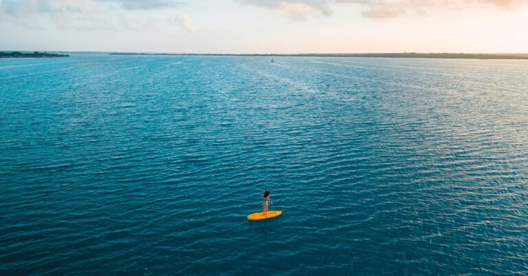 10 Best Tide Tracking Devices for Paddleboarding That Maximize Performance