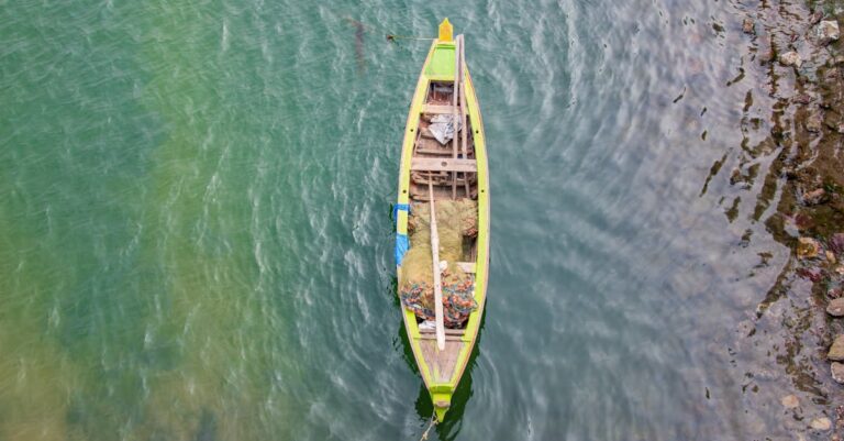 10 Best Eco-Friendly Kayak Paddles for Responsible Boating That Protect Our Waters