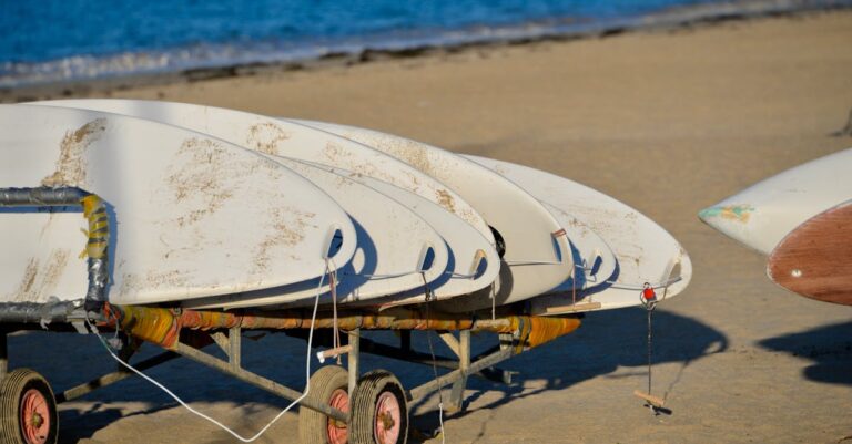 10 Best Pet-Friendly Beach Carts for Gear Transport That Enhance Outings